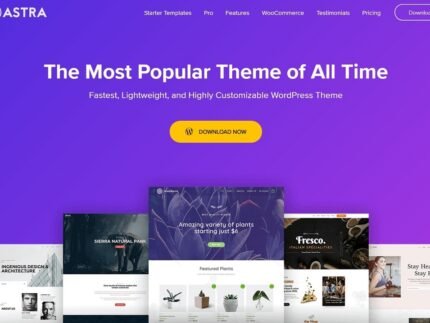 Astra WordPress Theme
