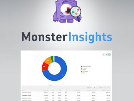 monsterinsights ads tracking wordpress plugin