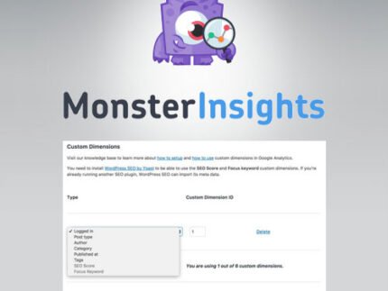 monsterinsights custom dimensions wordpress addon