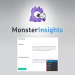 Performance Addon for MonsterInsights